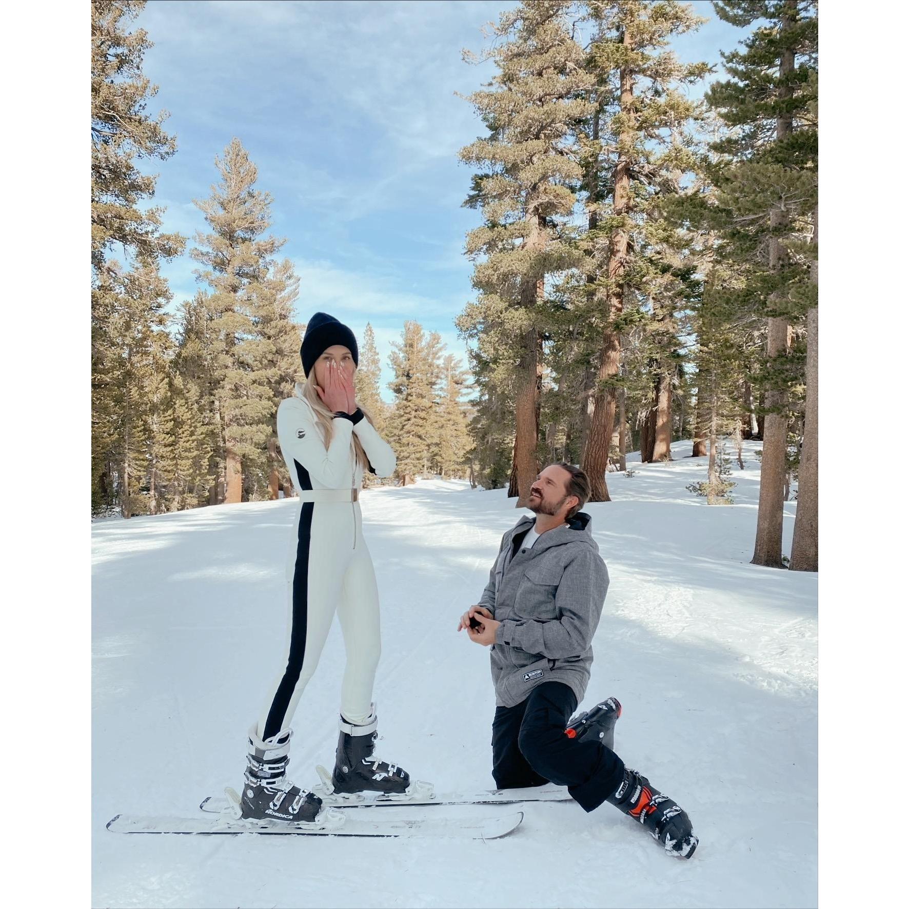 The Proposal January 15th 2021
