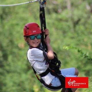 Half-Zipline Tour for 2 - Oahu