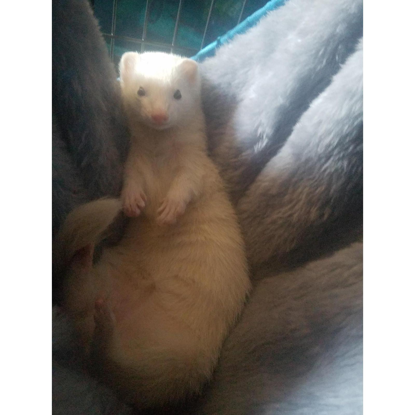 Our Little Lily