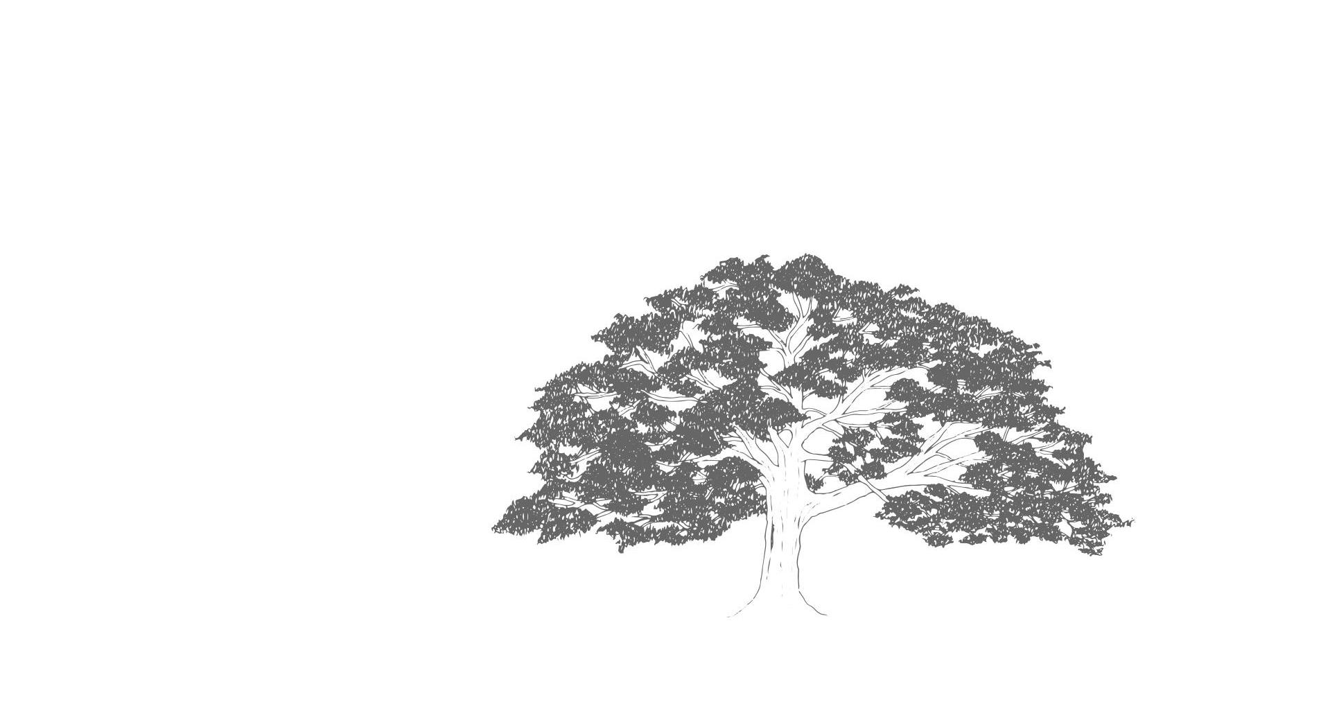 Footer image