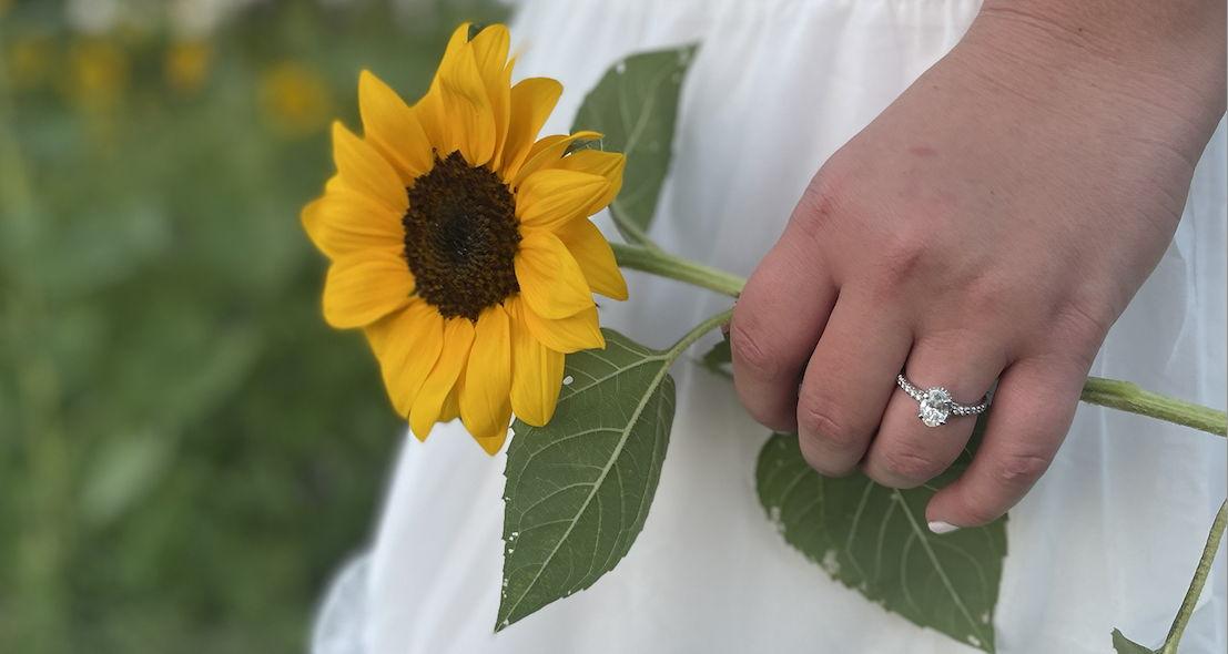 The Wedding Website of Haley Rishell and Ed Gerek
