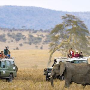 Private Game Drive – Ngorongoro Crater