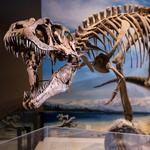 Natural History Museum of Utah