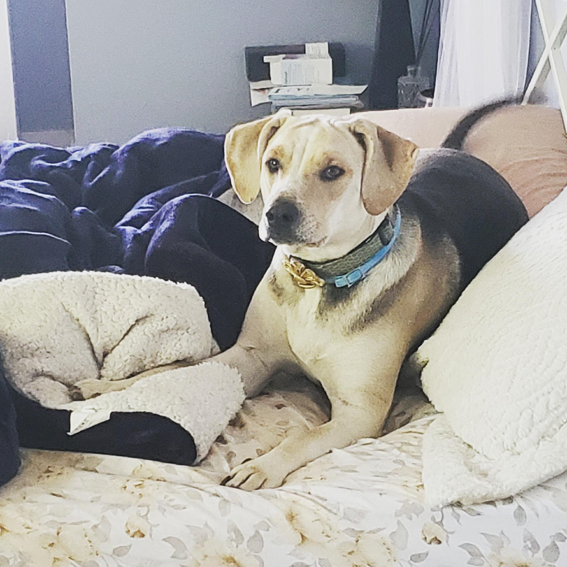 Bella being Bella.