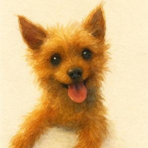 Pet Sitter For Macie For Our Honeymoon
