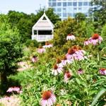 The State Botanical Garden of Georgia