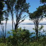 Discovery Park