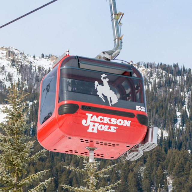 Honeymoon- Jackson Hole, WY