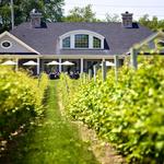 Sparkling Pointe Vineyards & Winery