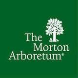 The Morton Arboretum