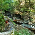 Buttermilk Falls State Park