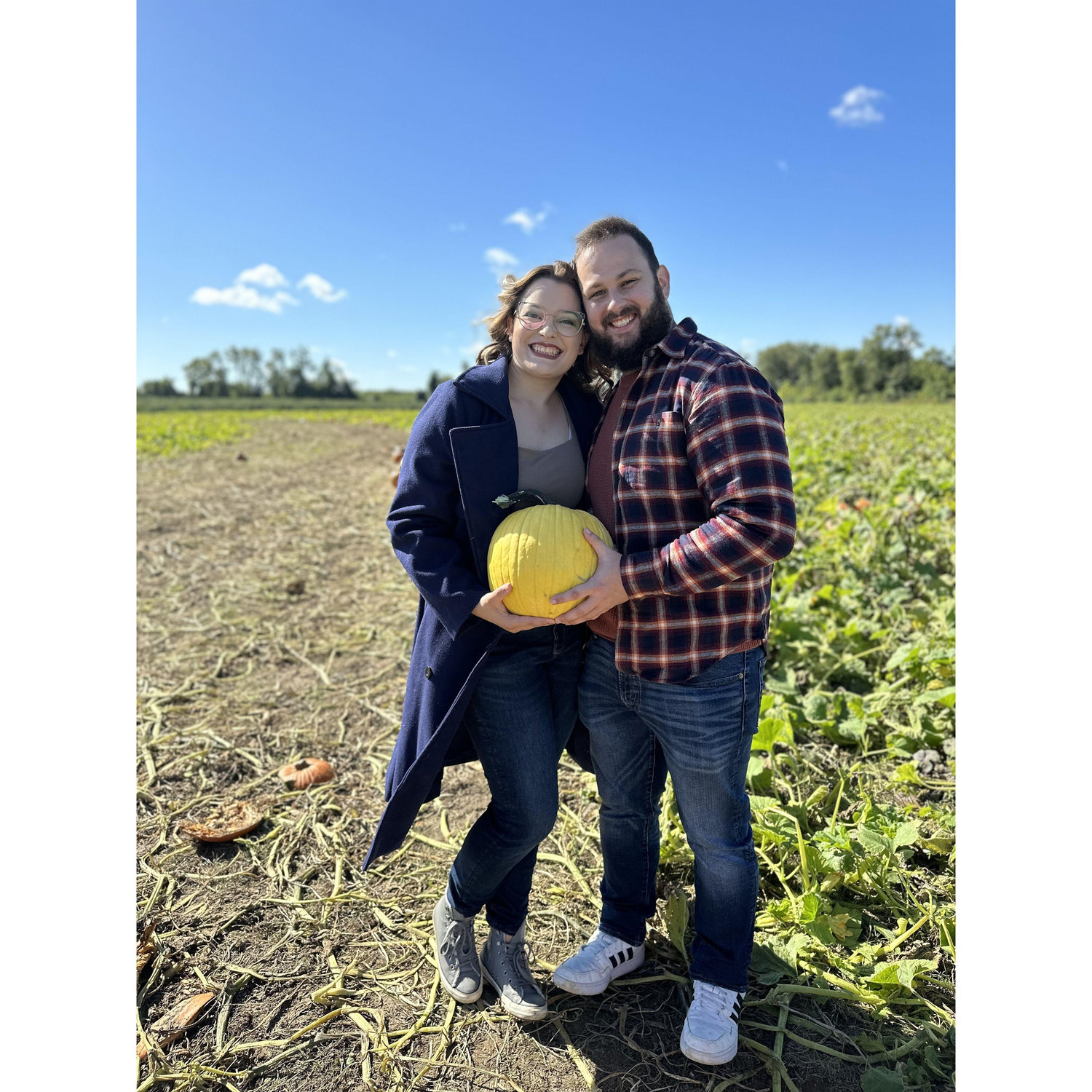 Pumpkin picking 2023