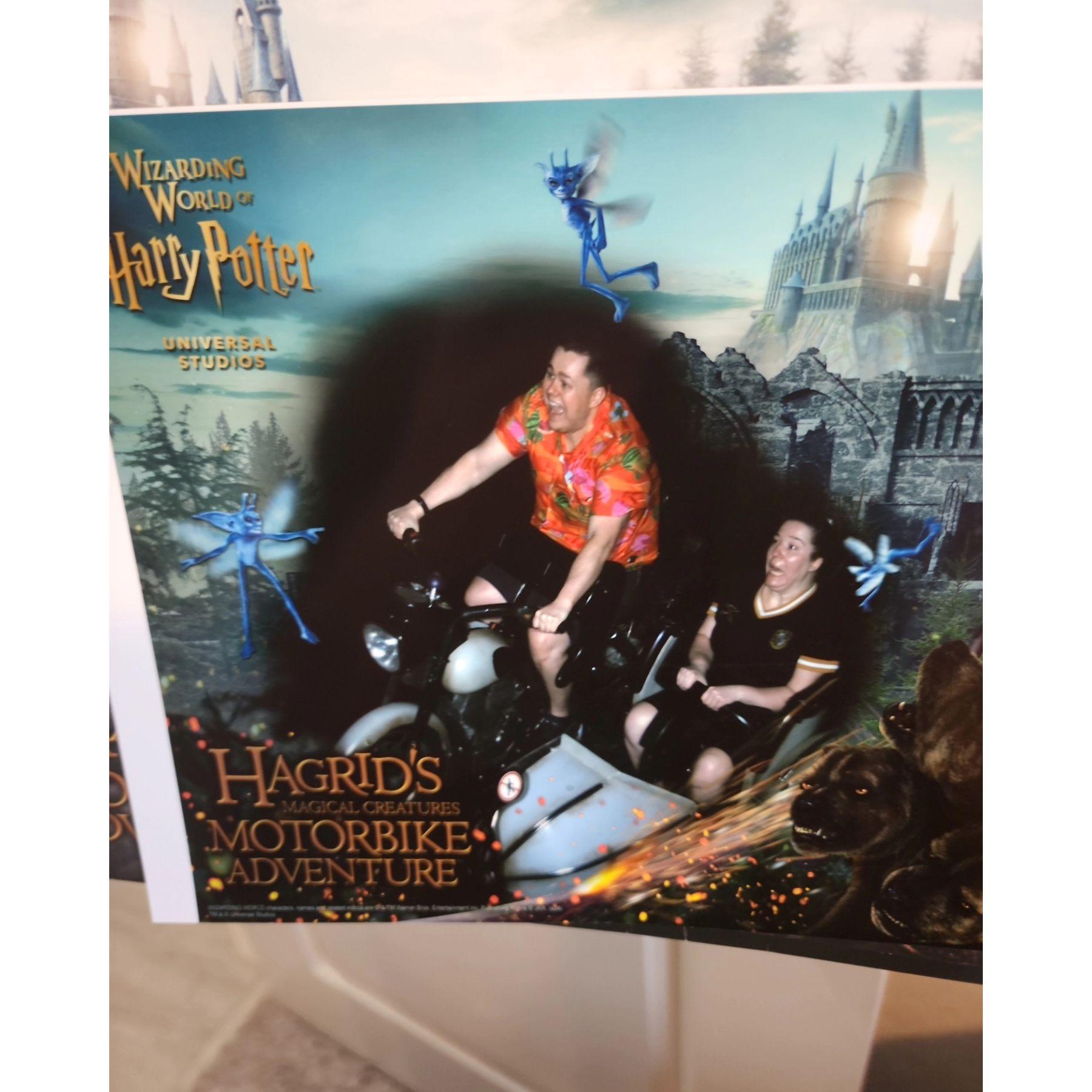 Hagrid's Motorbike ride