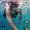 Snorkel & Sea Adventure