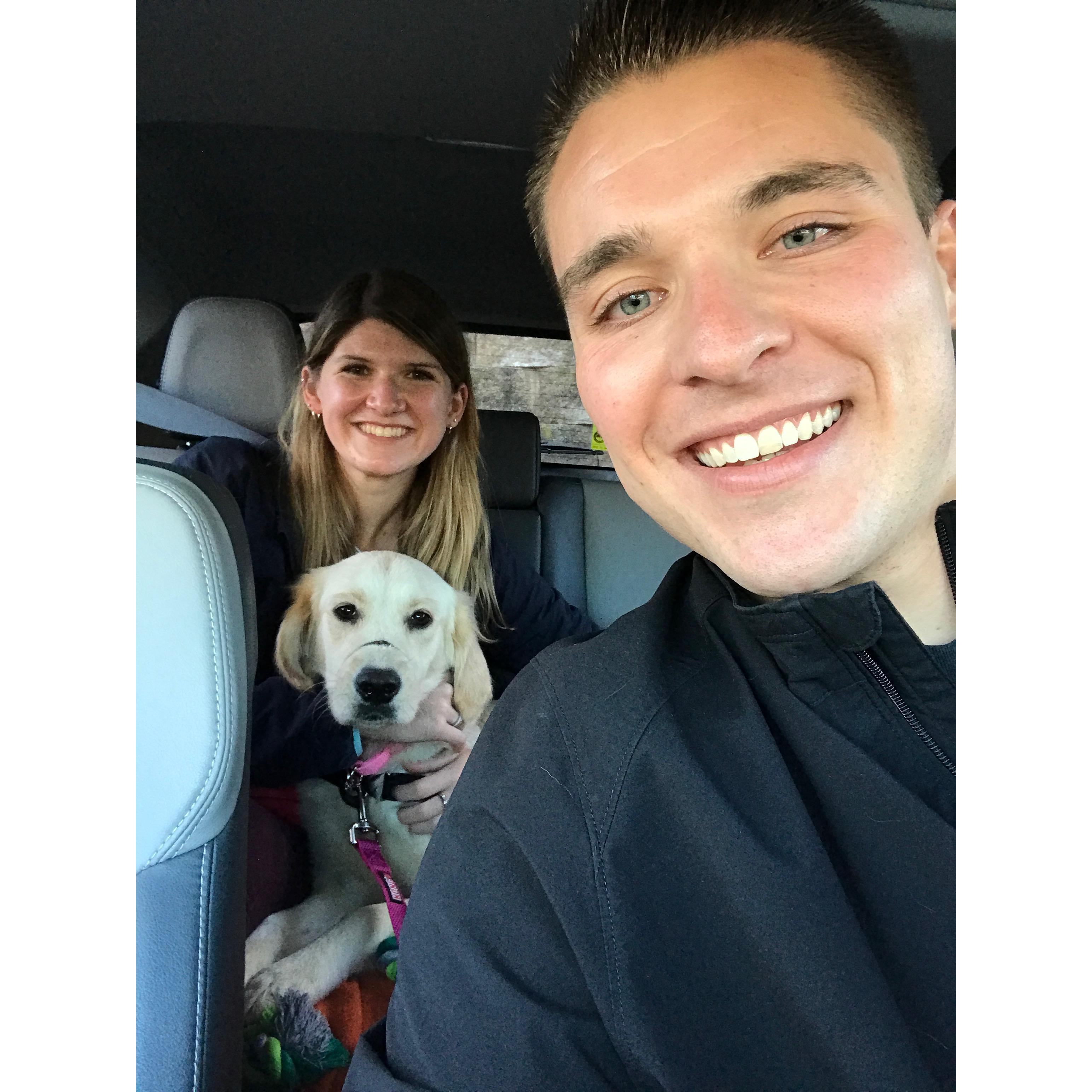 Driving Willow home from the shelter!