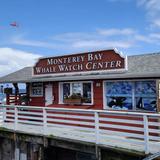 Monterey Bay Whale Watch