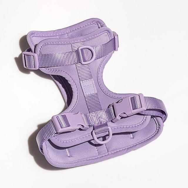 Harness
