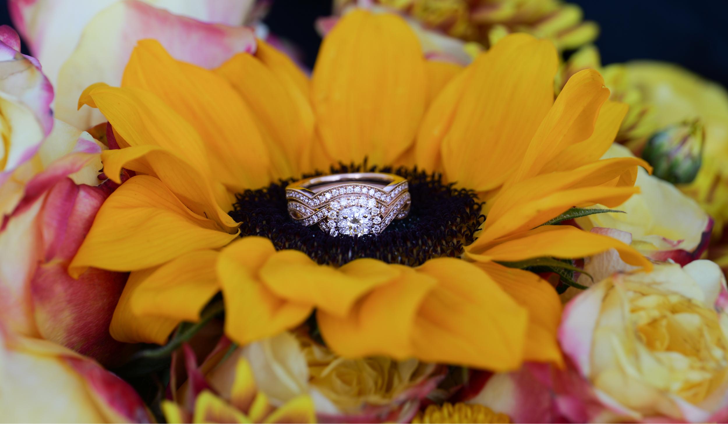 The Wedding Website of Joshua Baptist and Brittany Harris