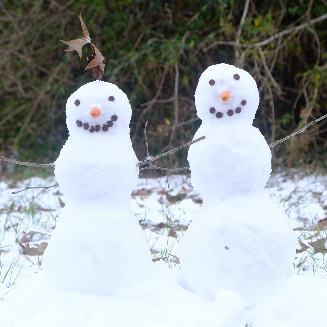 Us but in snowman form.