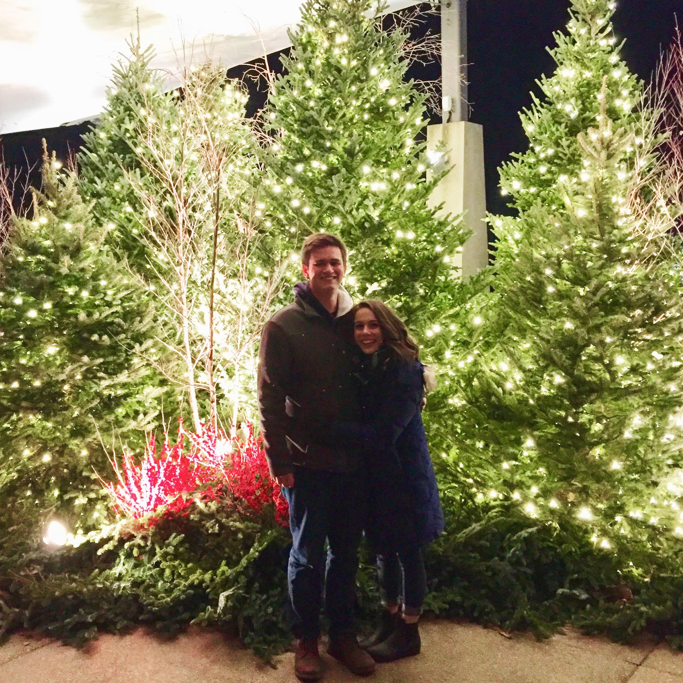 2017 Christmas Display at the Penn State Arboretum