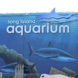 Riverhead Aquarium