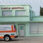 The Turtle Hospital