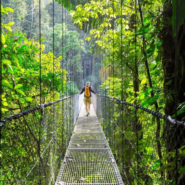 Rainforest Excursion for 2