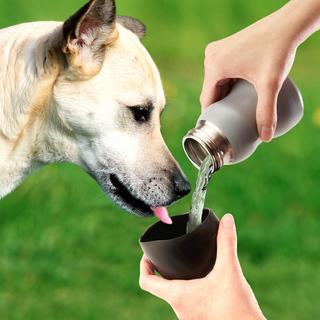 9.5 Oz. Dog Water Bottle