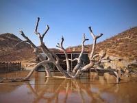 Bruma Valle de Guadalupe