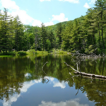 Hike the Trails at Mass Audubon's Pleasant Valley Wildlife Sanctuary