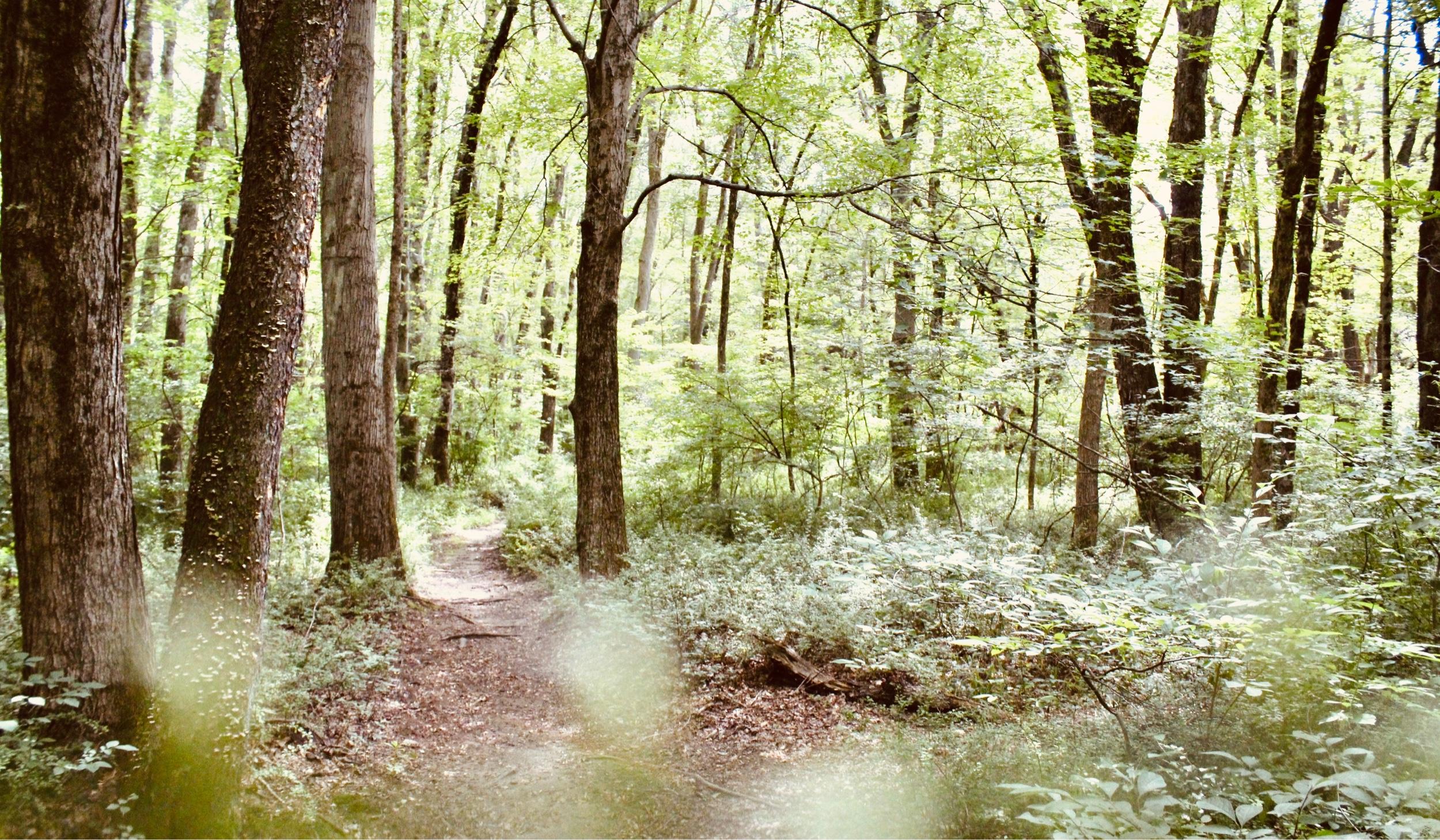 The Wedding Website of Erik Petersen and Lauren Little