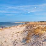 Crane Beach