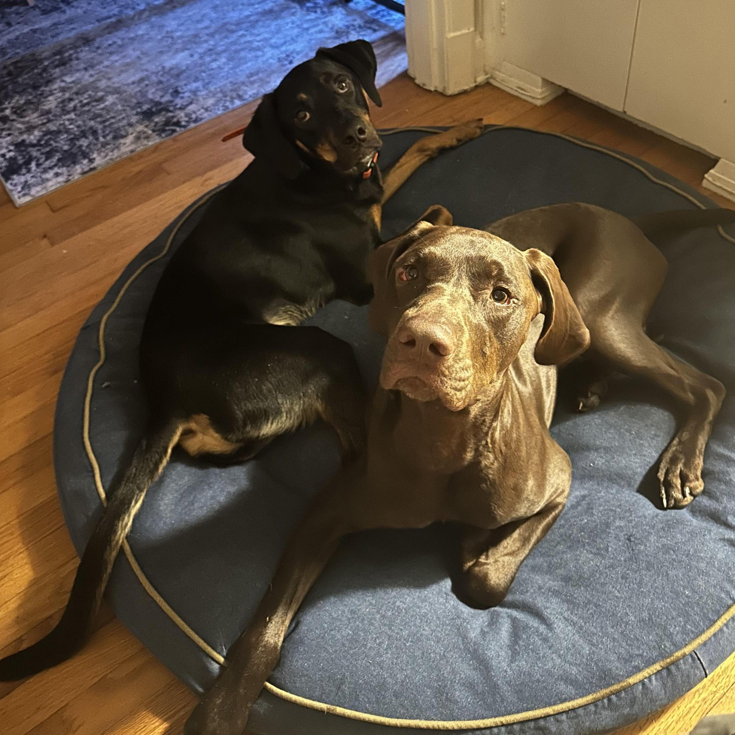 Our boys ❤️