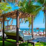 BEACH CLUBS