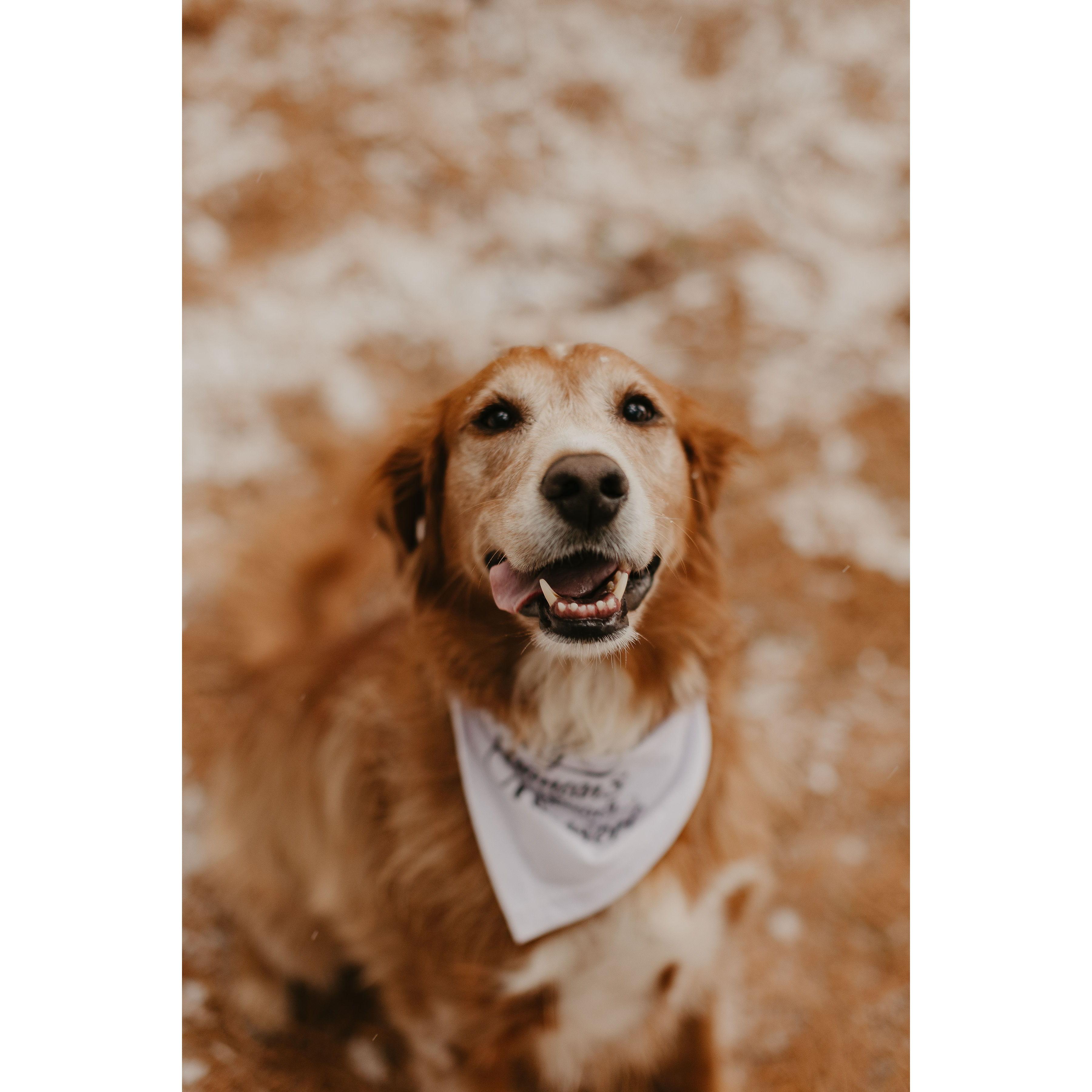 Our beautiful Nola girl
