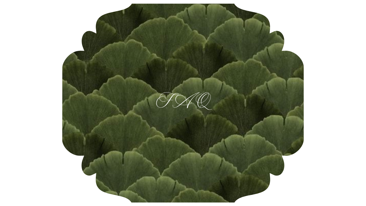 The Wedding Website of Marie-Sophie Heyne and Stefano Sperduti