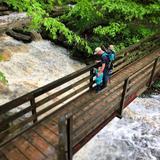 Clifty Falls State Park