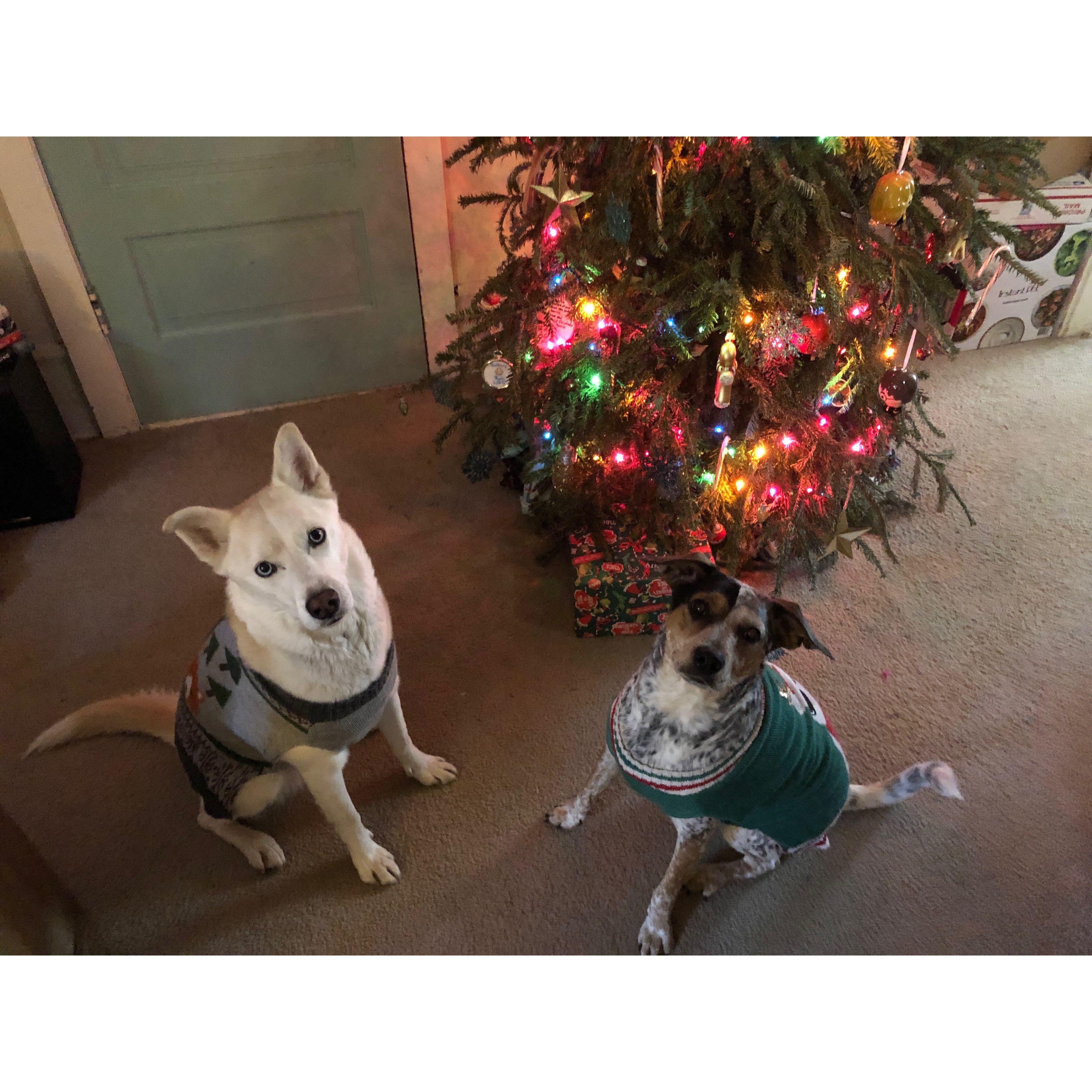 Family Christmas 2020. Yes, Aura and Iana have Christmas sweaters. So do Matt and Brittany!