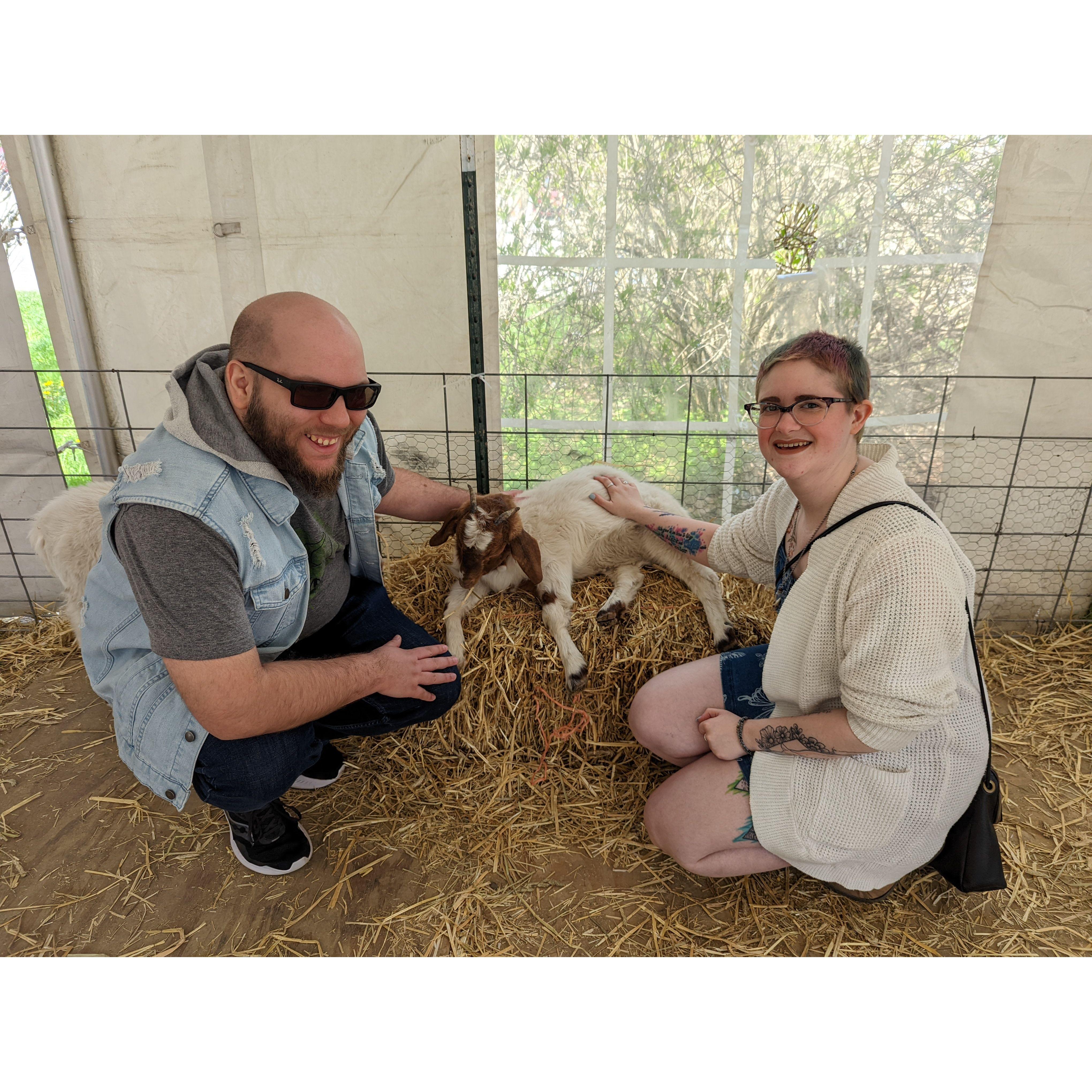 Our anniversary, Baby Animal Days at Indian Ladder, 2022