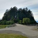 Walk Around the Shrine of St. Thérèse