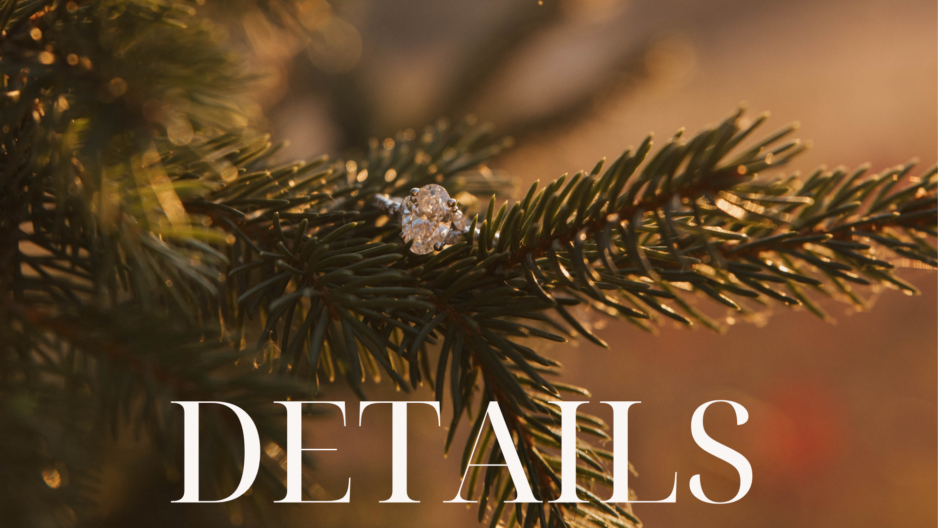 The Wedding Website of Kate Broderick and Eric Faust