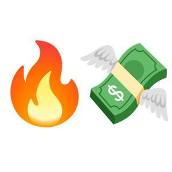 Savings Rescue Fund