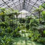 Garfield Park Conservatory