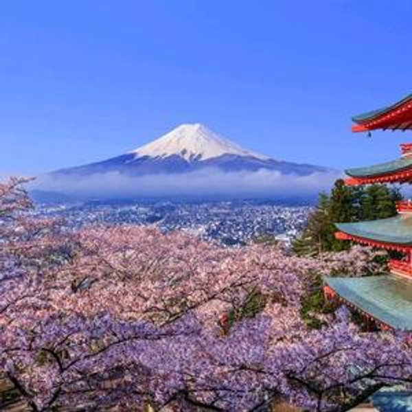 Honeymoon in Japan!