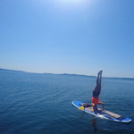 Paddle TC
