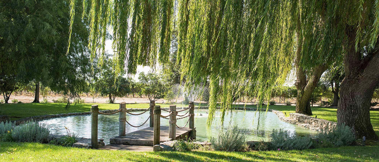 The Wedding Website of Stephanie Graham and Maxwell Niemeyer