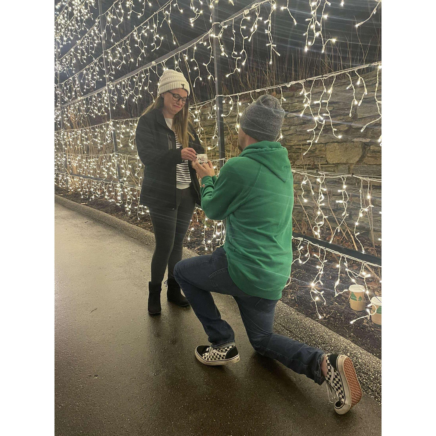 The night he proposed in the tunnel of lights at the zoo.