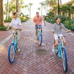 The Palm Beach Bike Trail