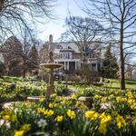 Blithewold Mansion, Gardens & Arboretum