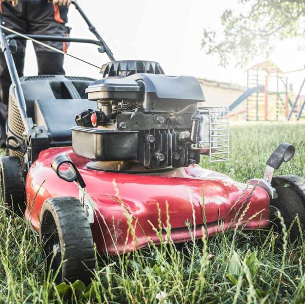 Lawn Service